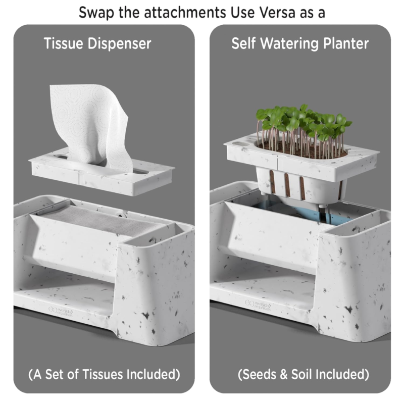 Versa - Image 3