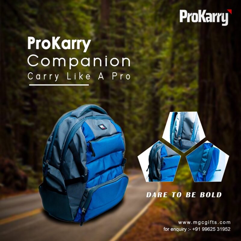 ProKarry Companion
